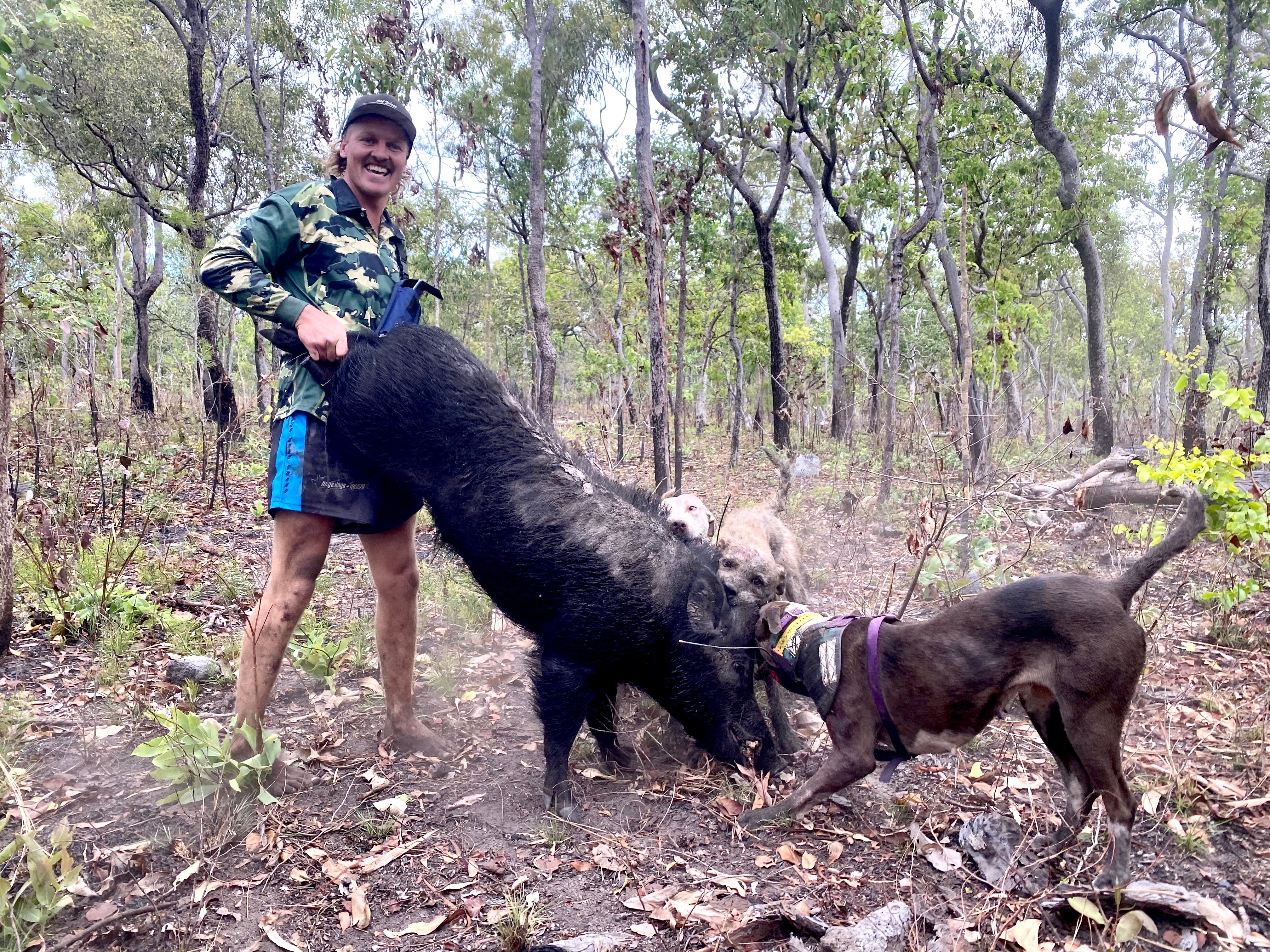 Footy Shorts - Pig Dog Blue - Hogs Dogs Quads Shop