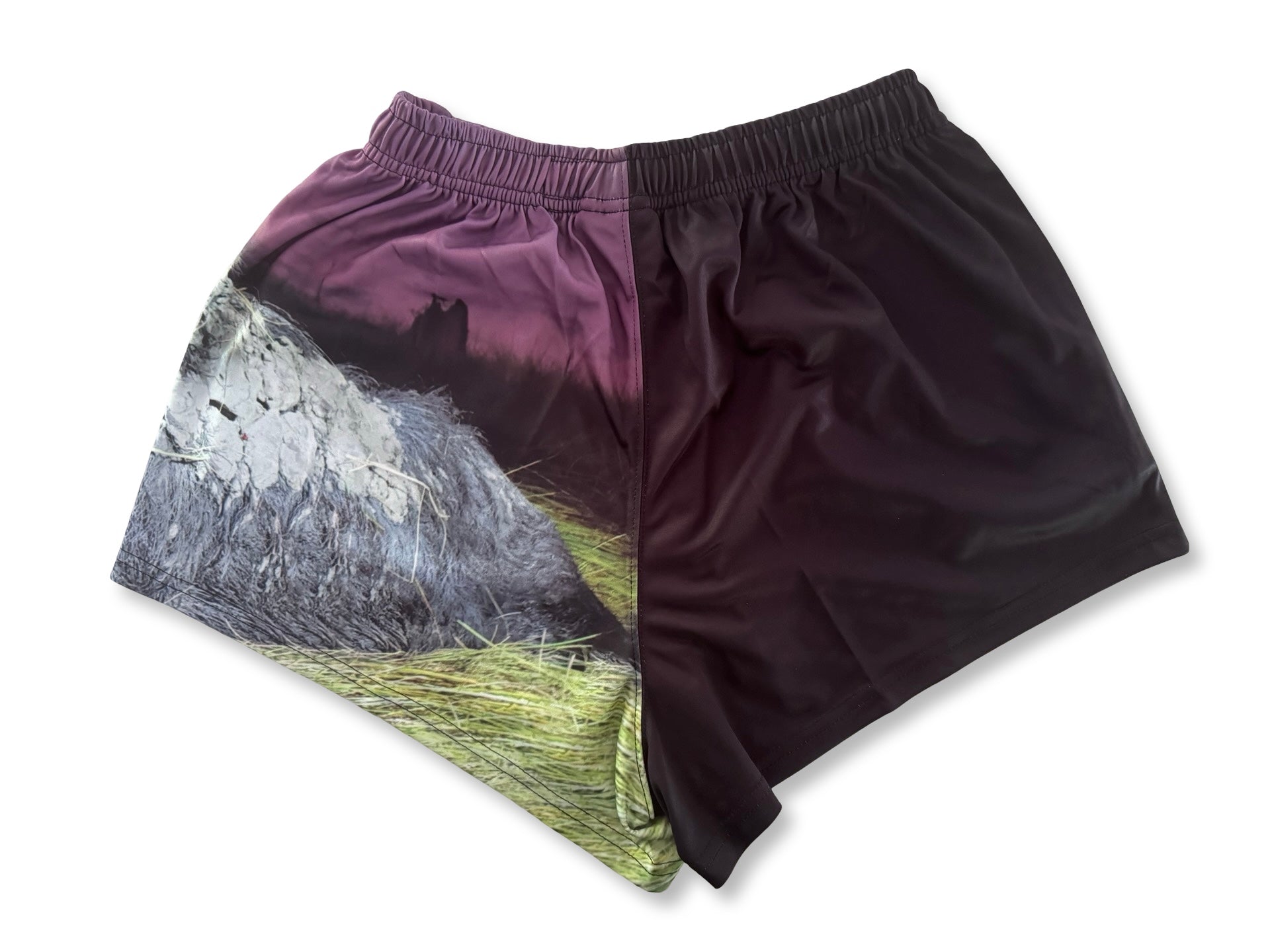 🔥NEW🔥 Wild Boar Photo Footy Shorts WITH POCKETS - Hogs Dogs Quads Shop