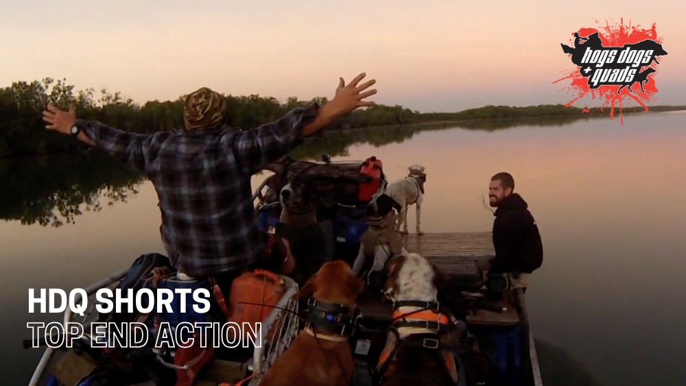 Load video: HOGS DOGS QUADS SHORTS: TOP END ACTION