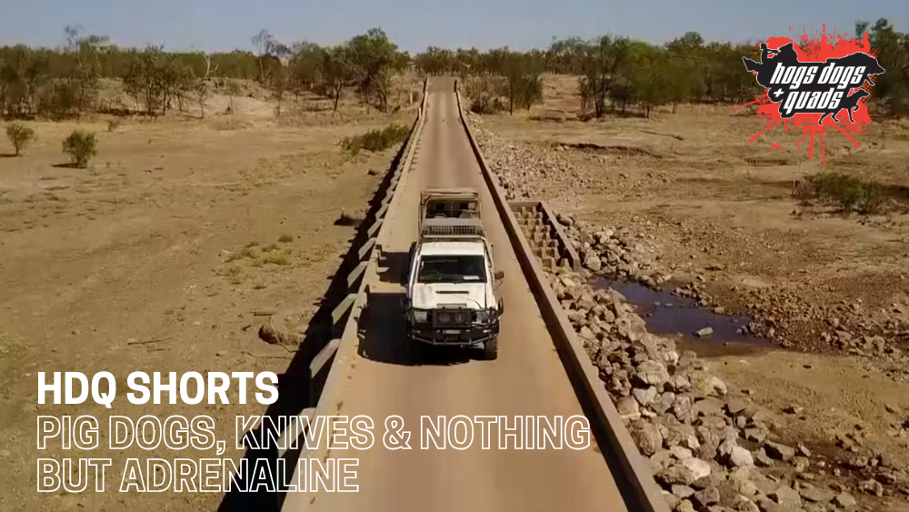 Load video: HDQ SHORTS: PIG DOGS, KNIVES &amp; NOTHING BUT ADRENALINE