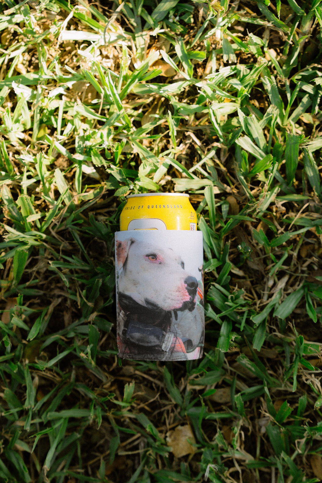 🔥NEW🔥 STUBBY COOLERS (5 PACK - MIXED) - Hogs Dogs Quads Shop