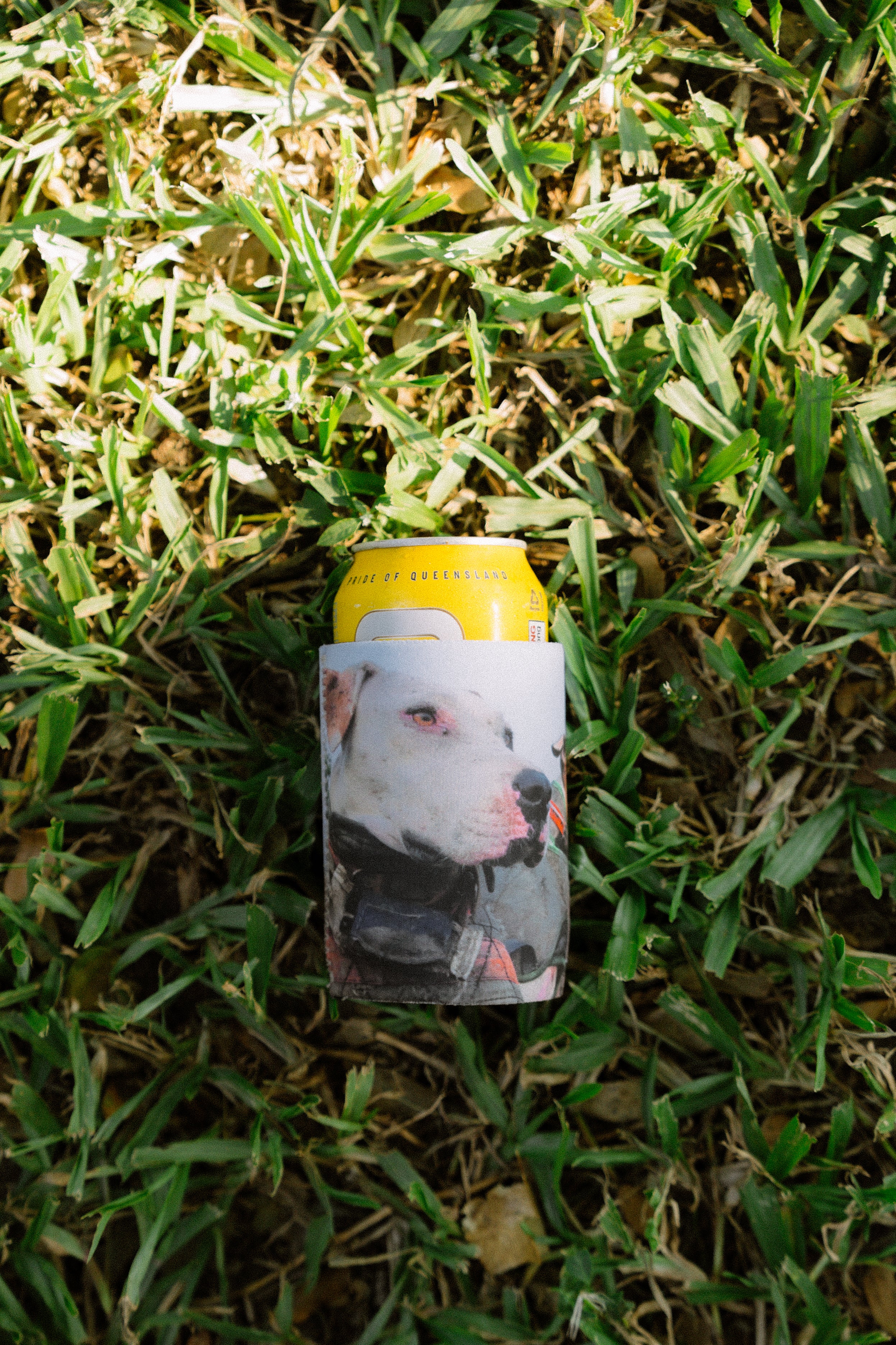 🔥NEW🔥 STUBBY COOLERS (5 PACK - MIXED) - Hogs Dogs Quads Shop