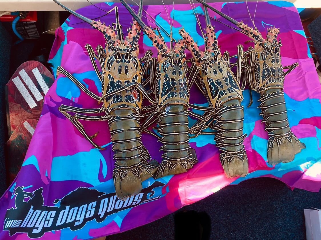 Micro Fibre Towel - Pink & Teal - Hogs Dogs Quads Shop