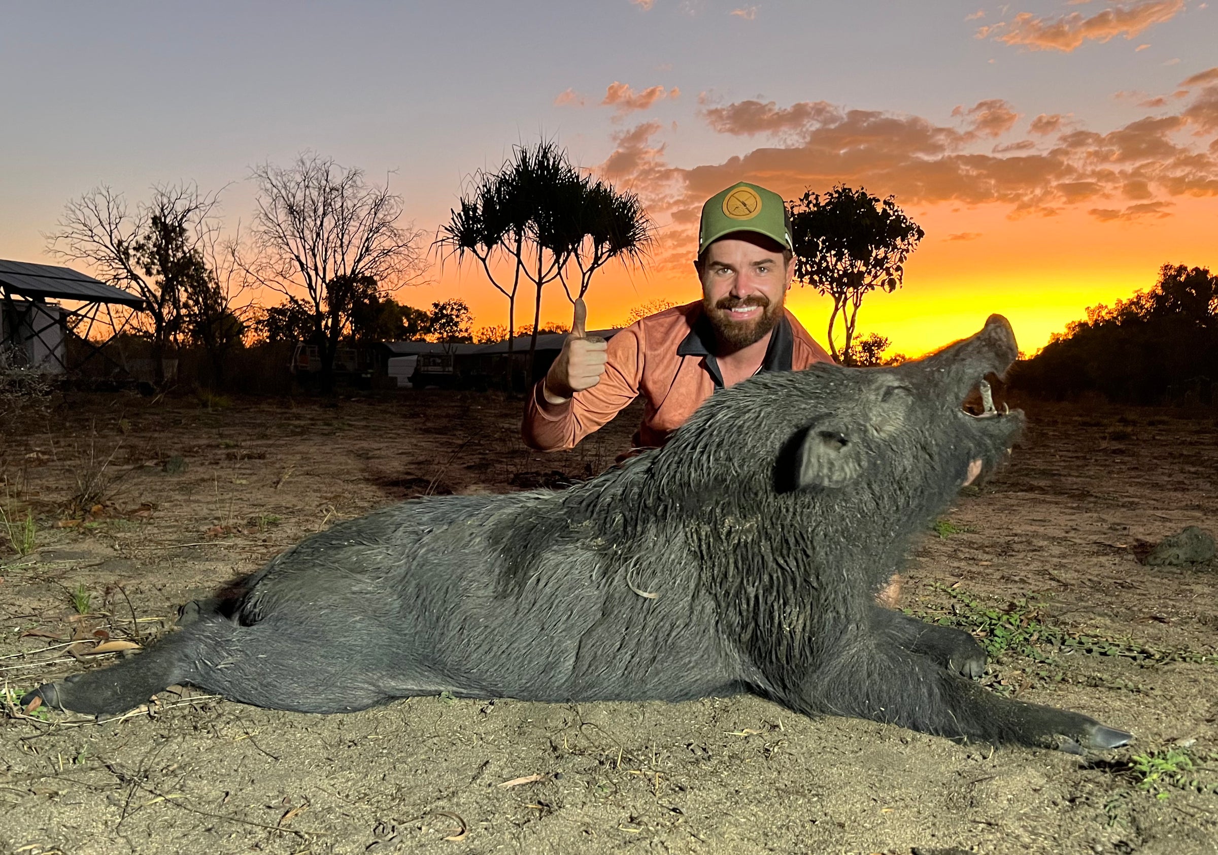 Hog hunting sales supplies for dogs