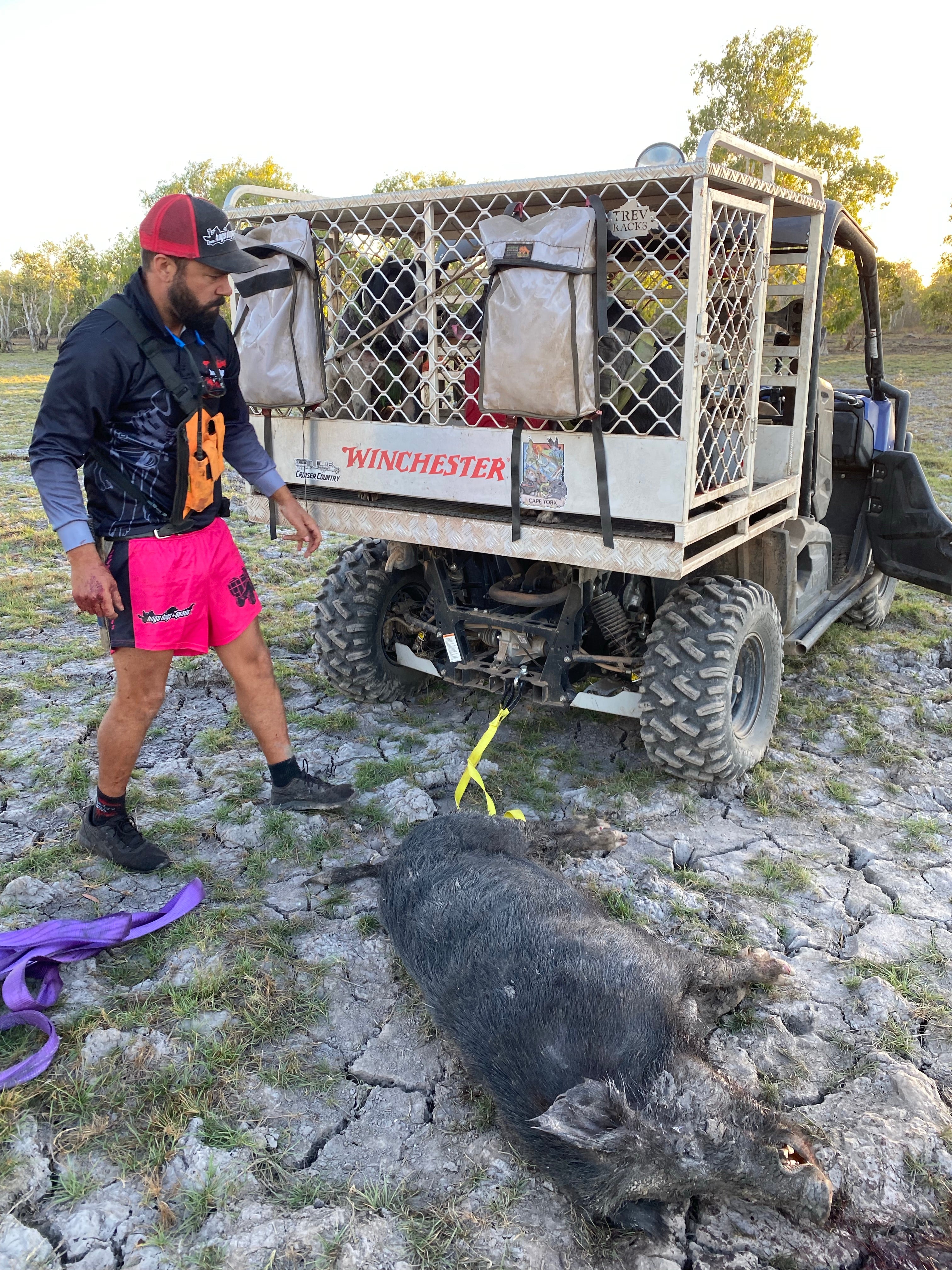 🔥🔥NEW🔥🔥 Footy Shorts - PINK QUAD - Hogs Dogs Quads Shop